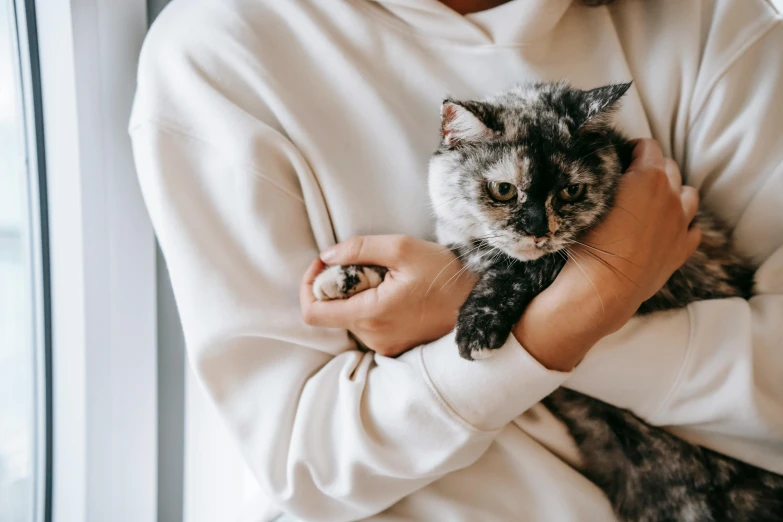 a woman holding a cat in her arms, trending on pexels, grey, realistic »