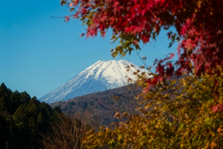 a view of a mountain with trees in the foreground, by Yasushi Sugiyama, unsplash, mount fuji in the background, 2 5 6 x 2 5 6 pixels, autum, fujifilm”
