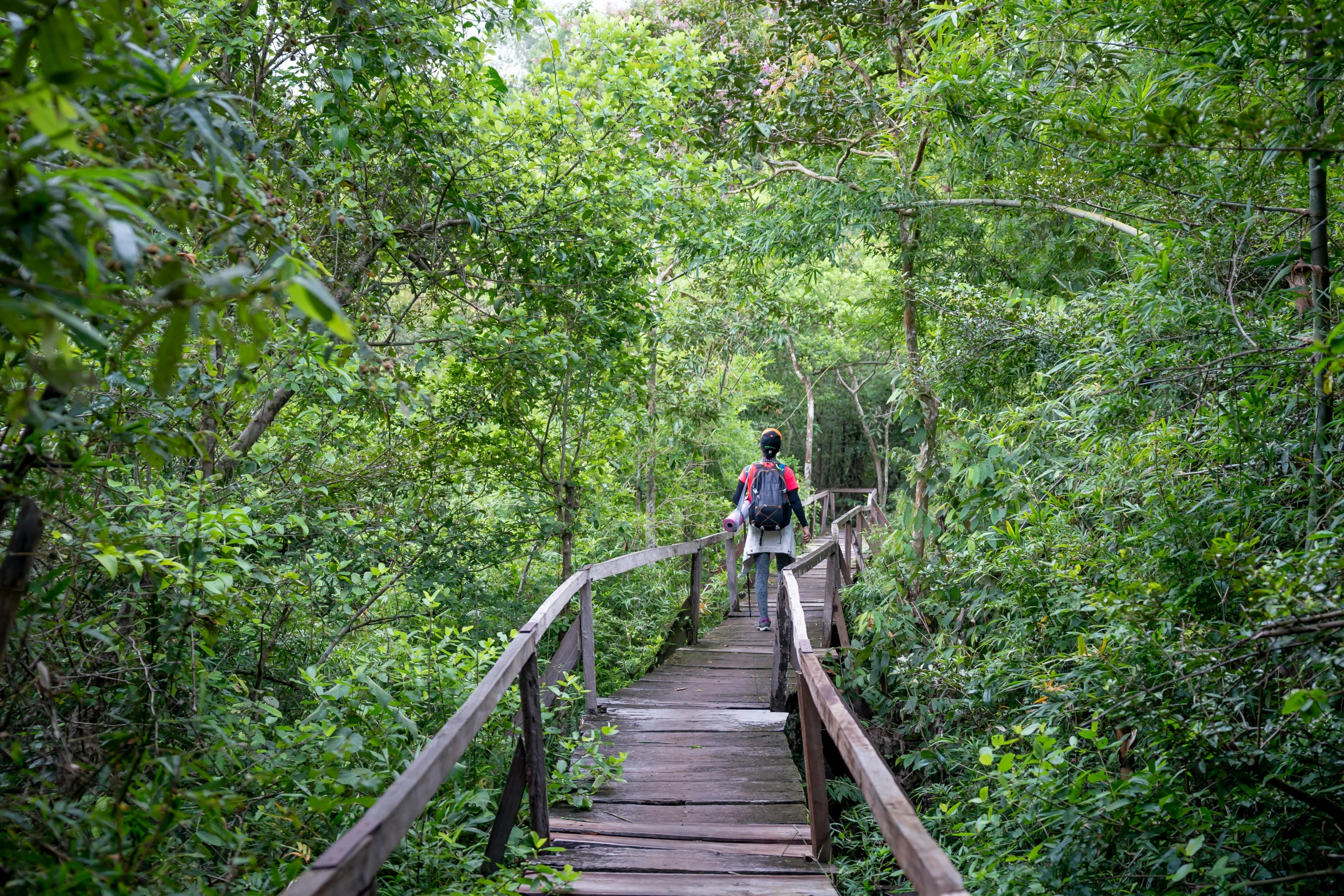 a couple of people walking across a wooden bridge, sumatraism, path through a dense forest, angkor thon, a green, thumbnail