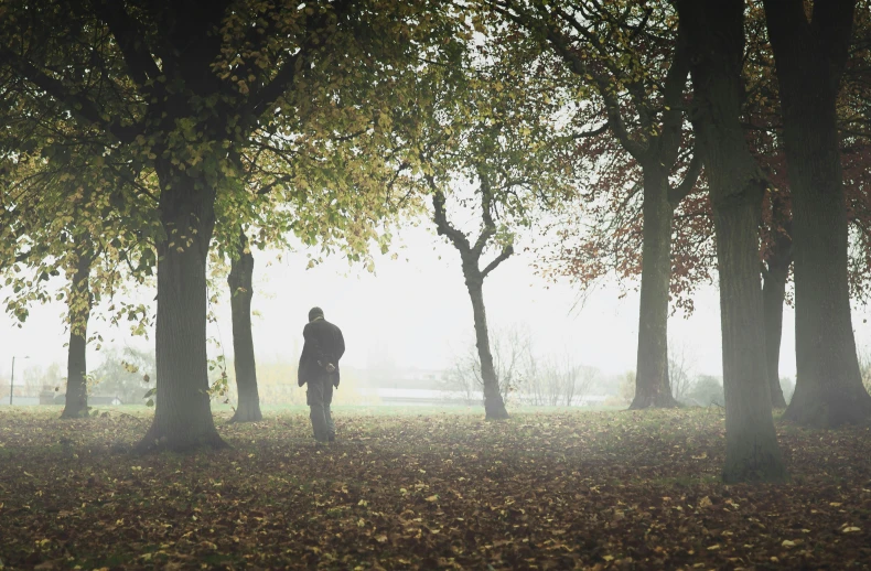 a person walking through a forest on a foggy day, the autumn plague gardener, man walking through city, spooky autumnal colours, comforting