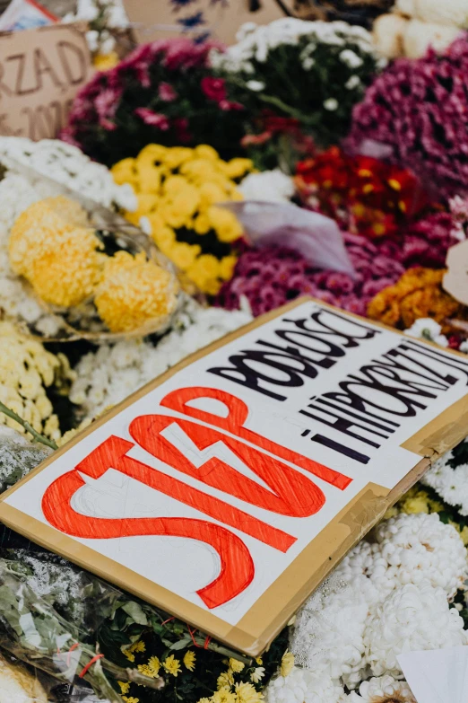 a sign sitting on top of a pile of flowers, by Carey Morris, trending on unsplash, protest movement, stop - motion, homicide, biological
