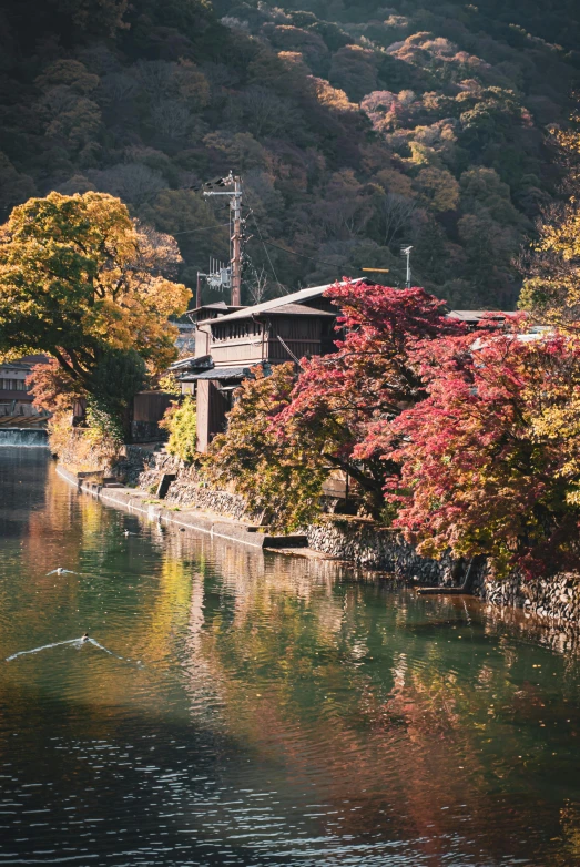 a river running through a lush green forest filled with trees, sōsaku hanga, colorful houses, autumnal colours, slide show, color image