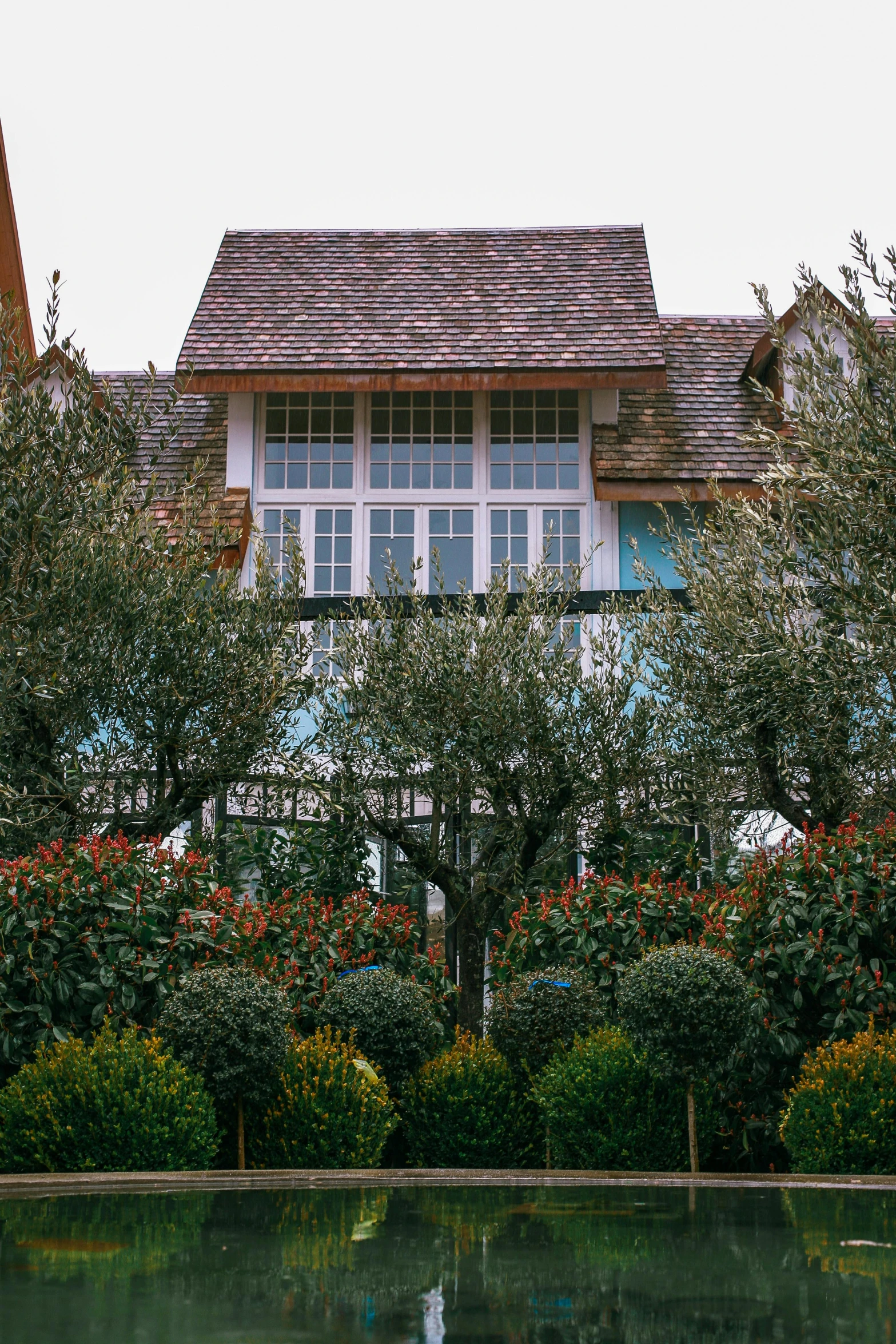 a house with a pond in front of it, inspired by Henri Harpignies, unsplash, arts and crafts movement, olive trees, symmetrical shot, roof garden, prussian blue and venetian red