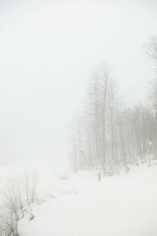 a man riding a snowboard down a snow covered slope, by Paul Resika, pexels contest winner, romanticism, foggy forest, panoramic, white in color, winter photograph