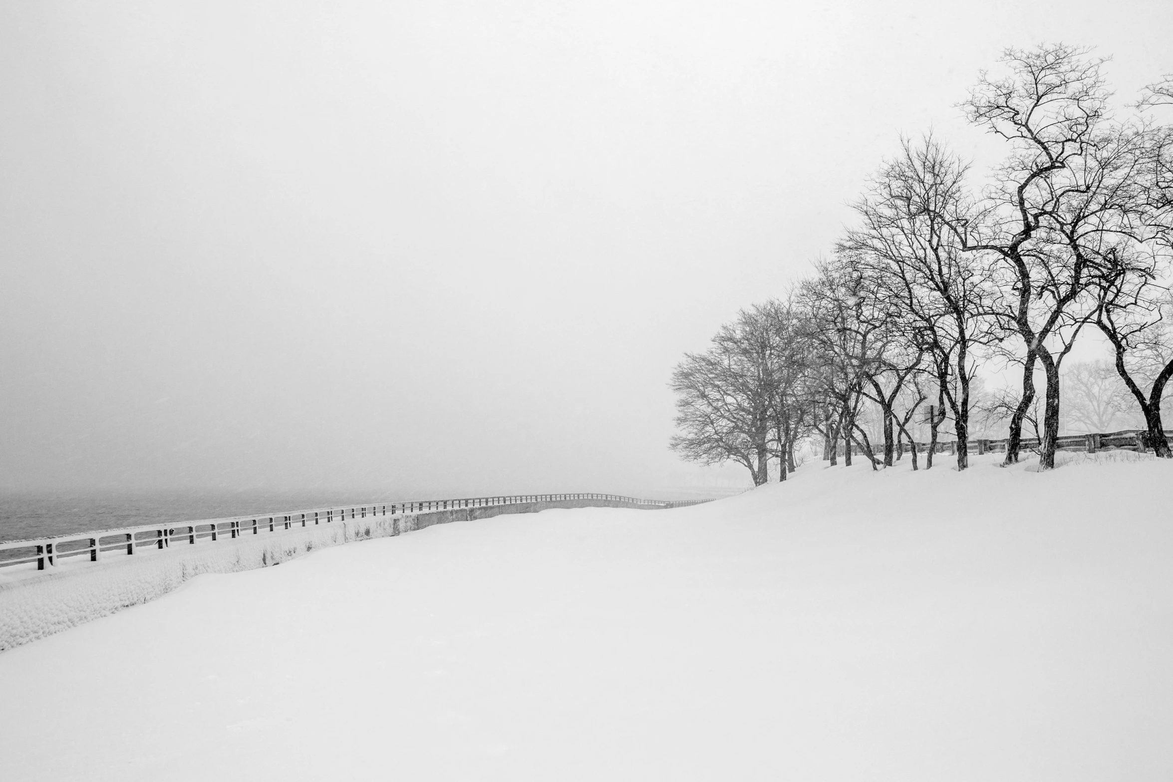 a black and white photo of trees in the snow, pexels contest winner, minimalism, fence line, hong soonsang, fog. by greg rutkowski, snowy fjord