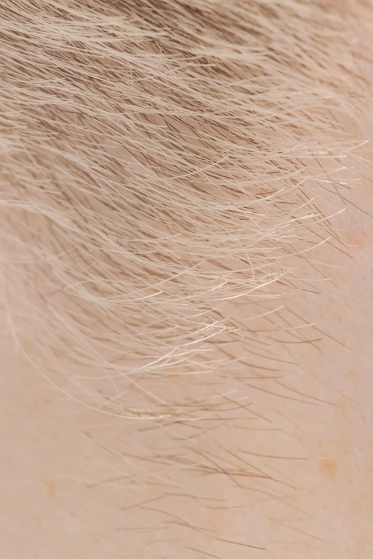 a close up of the back of a person's head, bushy grey eyebrows, extremely pale blond hair, close-up product photo, varying thickness