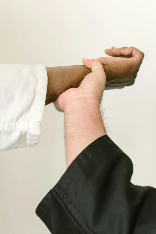 a person holding onto another person's arm, inspired by Kanō Shōsenin, using the degrade technique, white sleeves, middle shot, jemal shabazz