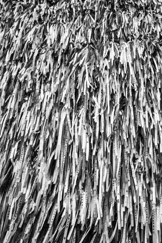 a black and white photo of a thatched roof, inspired by Edward Weston, camo made of out teeth, tall kelp, extra detail, wearing hay coat