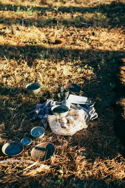 a dog that is laying down in the grass, a still life, by Elsa Bleda, land art, moroccan tea set, mushroom structures, pan and plates, photo taken on fujifilm superia