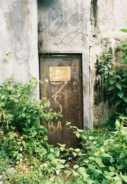 a door that is on the side of a building, by Yi Insang, abandoned overgrown graveyard, bao pnan, taken on a 2000s camera, a labeled