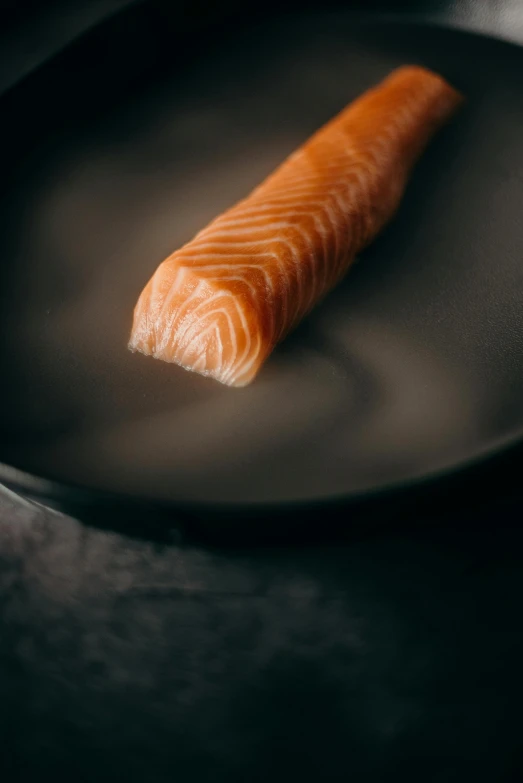 a piece of salmon on a black plate, a picture, by Daniel Seghers, trending on pexels, purism, medium format. soft light, 4 0 0 mm, looking straight, morning sunlight