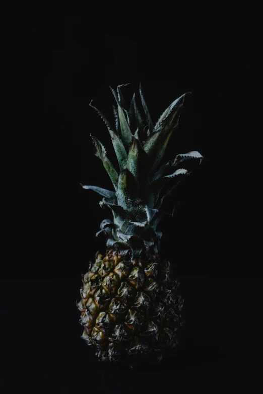 a pineapple on a black background, an album cover, by Adam Marczyński, unsplash, nadav kander, ilustration, dark kitchen of an art student, close up to a skinny