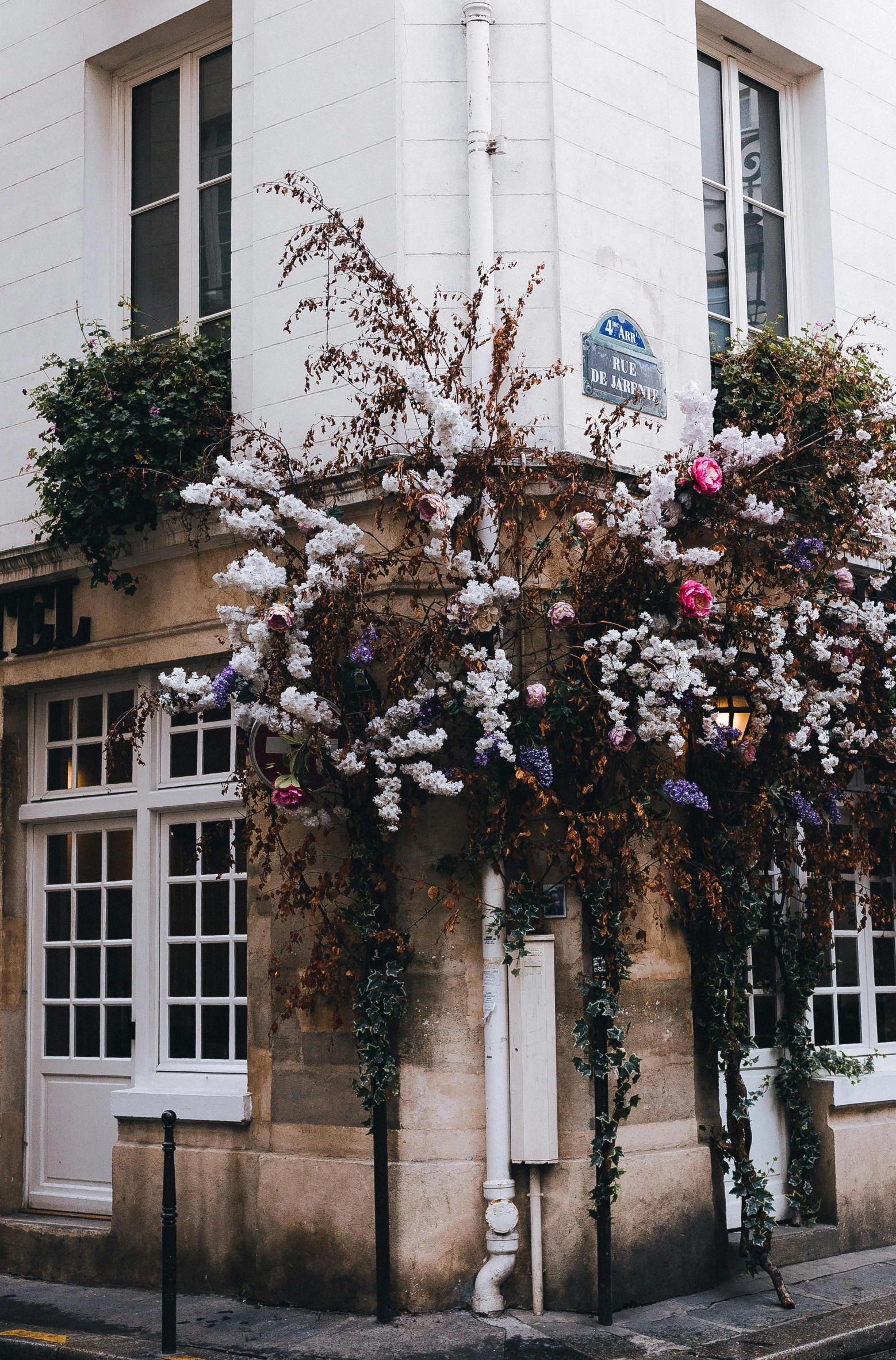 a building that has a bunch of flowers on it, inspired by Jeanne du Maurier, trending on unsplash, very smoky paris bar, white and purple, autumnal, pub