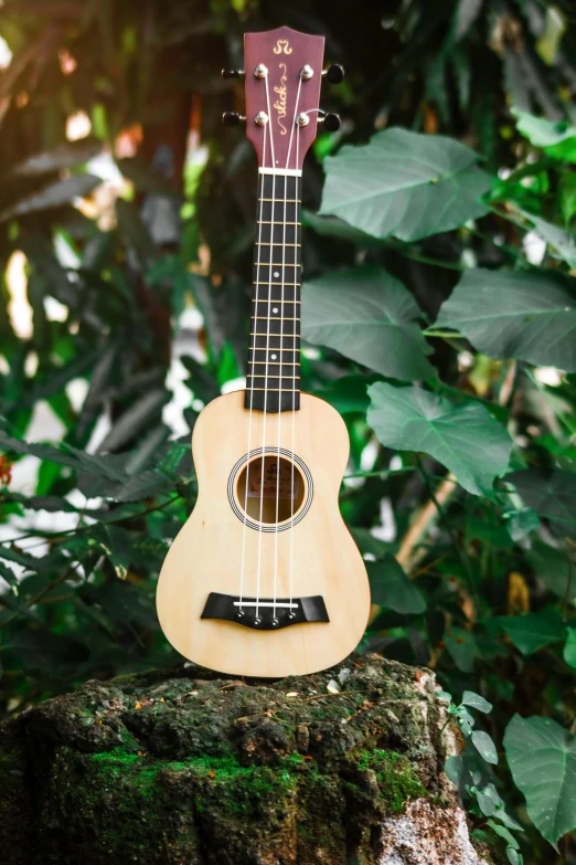 a small guitar sitting on top of a tree stump, ukulele, detailed product image, banana, 3 / 4 wide shot