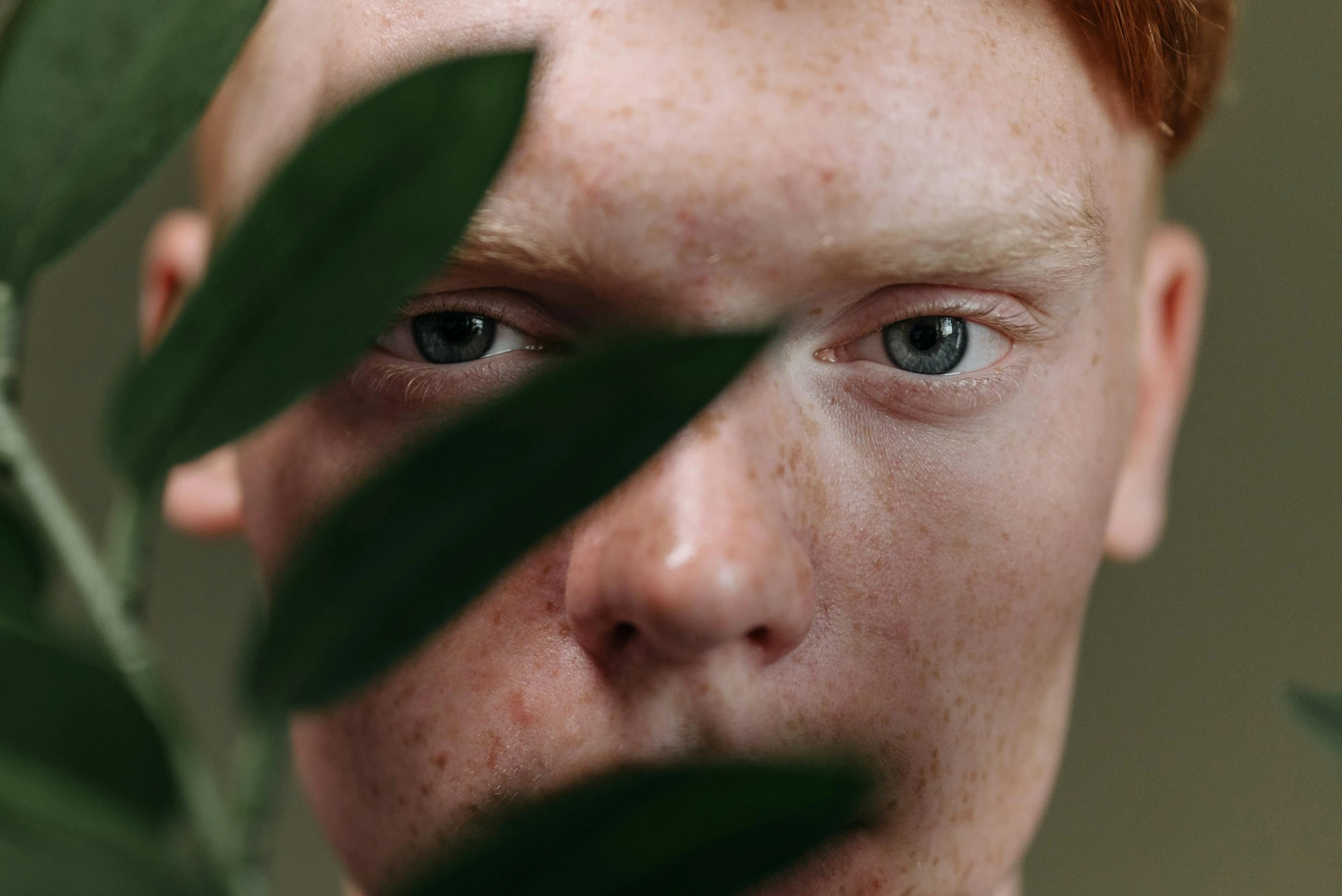 a close up of a person looking at the camera, trending on pexels, made of leaves, readhead, square masculine facial features, with a white complexion