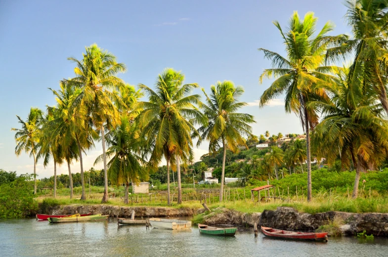 a group of boats sitting on top of a body of water, a picture, coconut trees, lush countryside, conde nast traveler photo, puerto rico