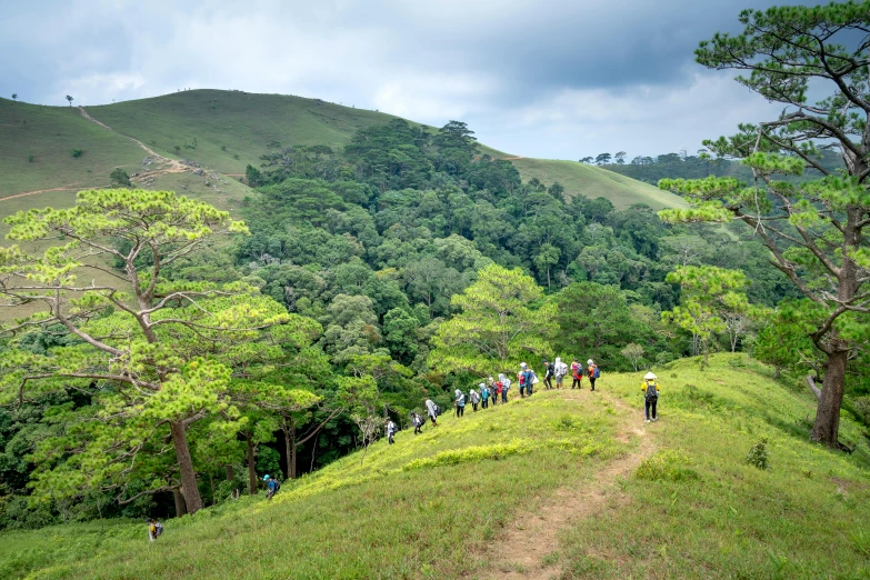 a group of people walking up a hill, by Breyten Breytenbach, pexels contest winner, renaissance, tropical forest, sri lankan landscape, bocage, pristine and clean