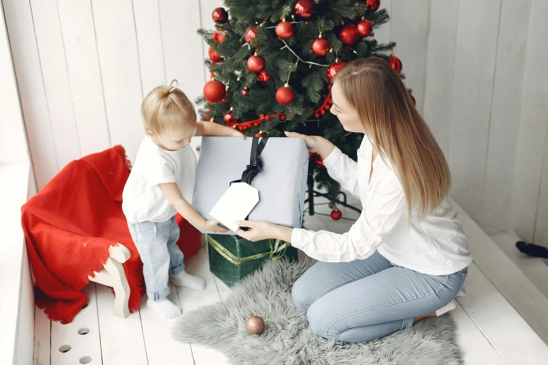 a woman holding a small child near a christmas tree, a photo, holding gift, square, grey, fan favorite