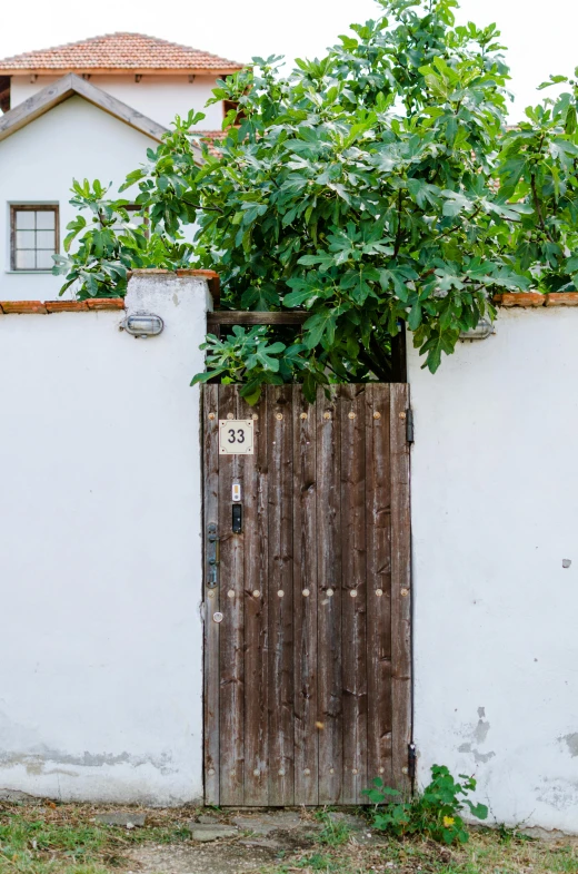 a red fire hydrant sitting in front of a white wall, a picture, by Andries Stock, unsplash, arts and crafts movement, garden with fruits on trees, wood door, spanish alleyway, marbella landscape