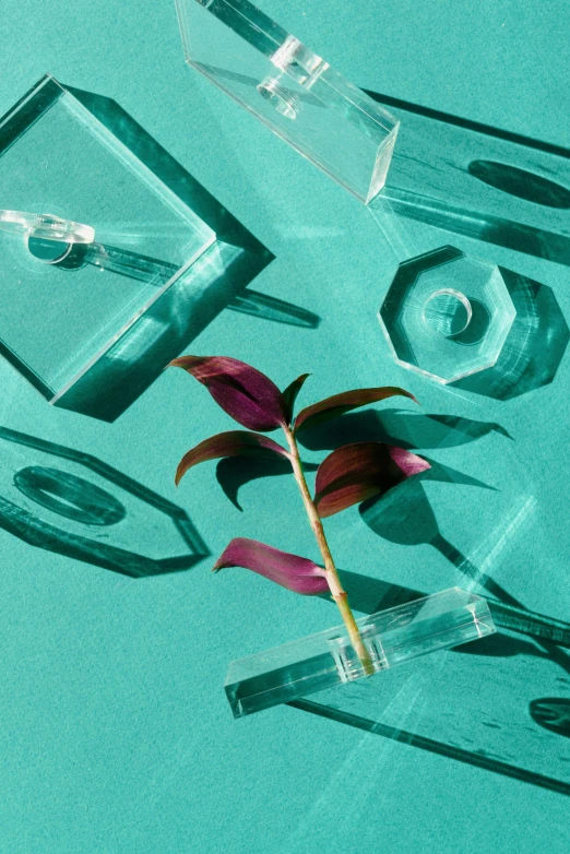 a close up of a vase with a plant in it, an album cover, crystal cubism, teal, vials, sustainable, knolling