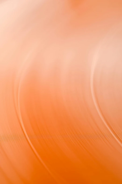 a close up of a frisbee with a blurry background, by Doug Ohlson, lyrical abstraction, orange gradient, lines and movement, vinyl, medium format. soft light