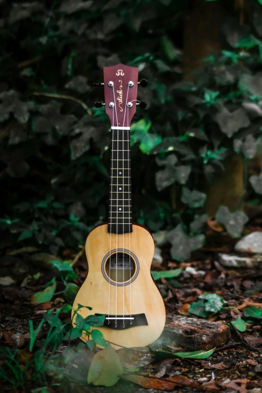 a small wooden guitar sitting on the ground