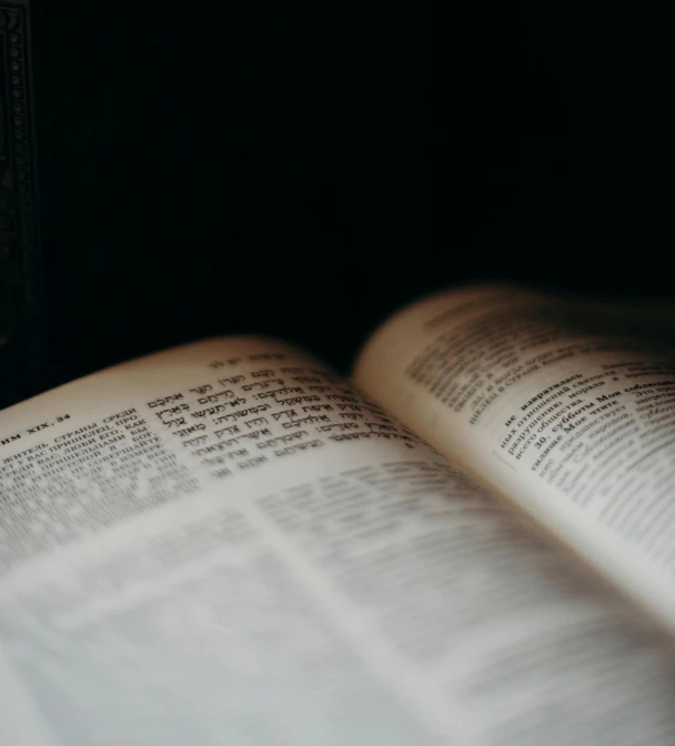 an open book sitting on top of a table, a macro photograph, by Carey Morris, unsplash, unilalianism, dimly lit, biblical image, 2263539546], contain