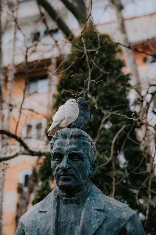 a statue of a man with a bird on his head, a statue, by Niko Henrichon, pexels contest winner, pigeon, basil gogos, van, on a tree