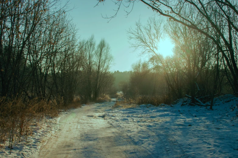 the sun shines through the trees on a snowy path, an album cover, inspired by Elsa Bleda, unsplash, land art, russian landscape, vray 4k, real engine 5 cinematic, countryside