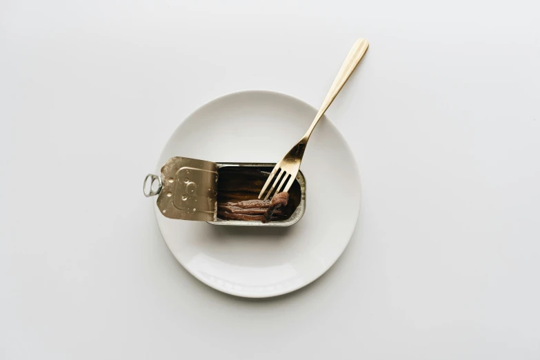 a can of food on a plate with a fork, an album cover, by Nina Hamnett, unsplash, purism, ffffound, sardine in a can, chocolate, white