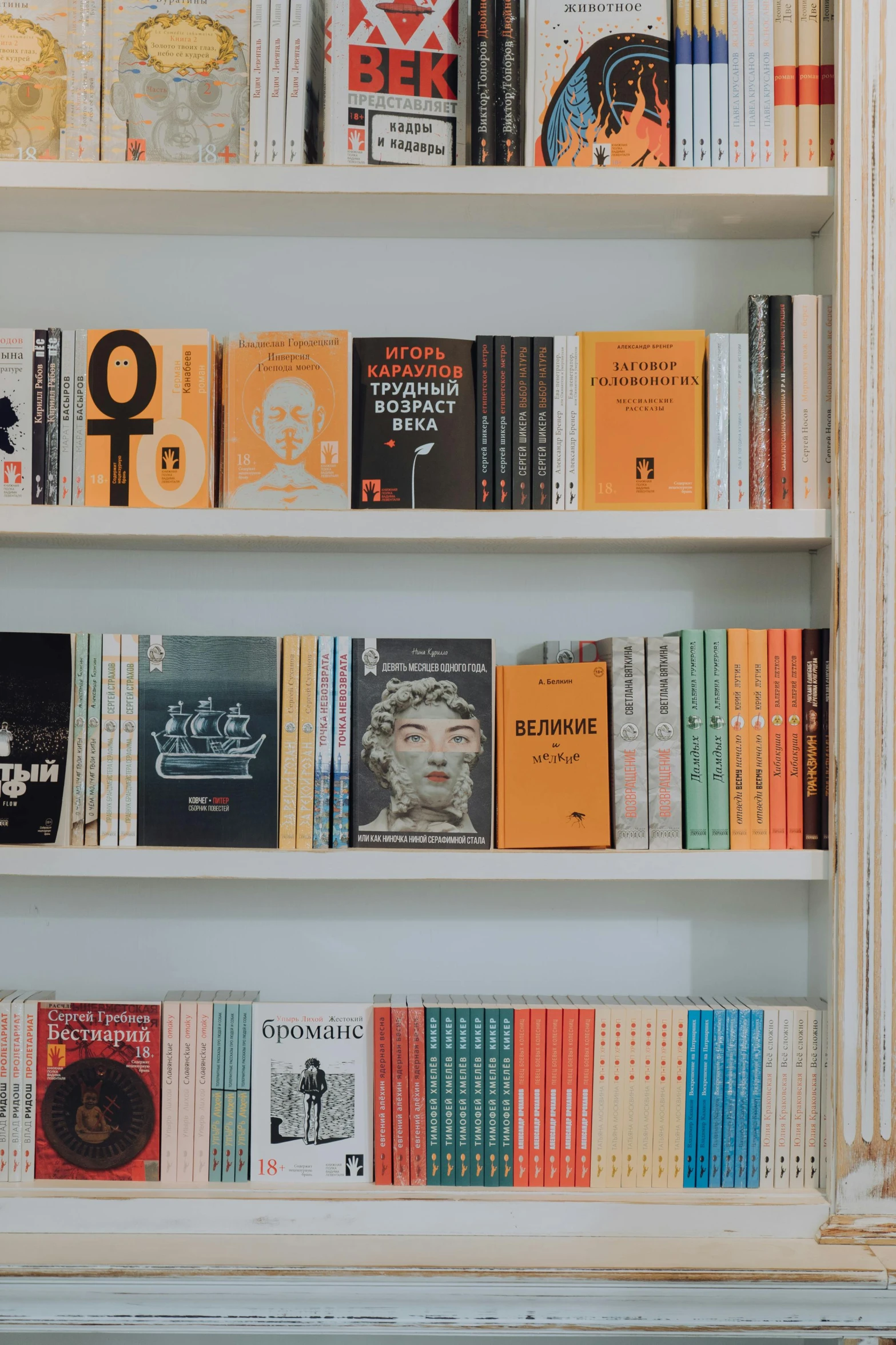 a book shelf filled with lots of books, a cartoon, trending on unsplash, neoclassicism, product display, warsaw, revolutionary, non-binary