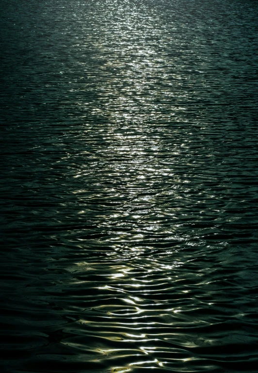 the sun is shining over a body of water, inspired by Elsa Bleda, water ripples, highly reflective light, ignant, moonlit