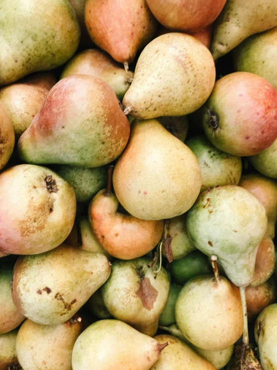 a pile of pears sitting on top of each other, thumbnail, squashed berries, medium