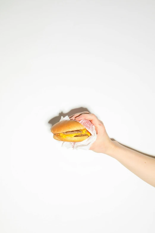 a person holding a hot dog in their hand, unsplash, visual art, cheeseburger, plain background, grain”, high quality image”