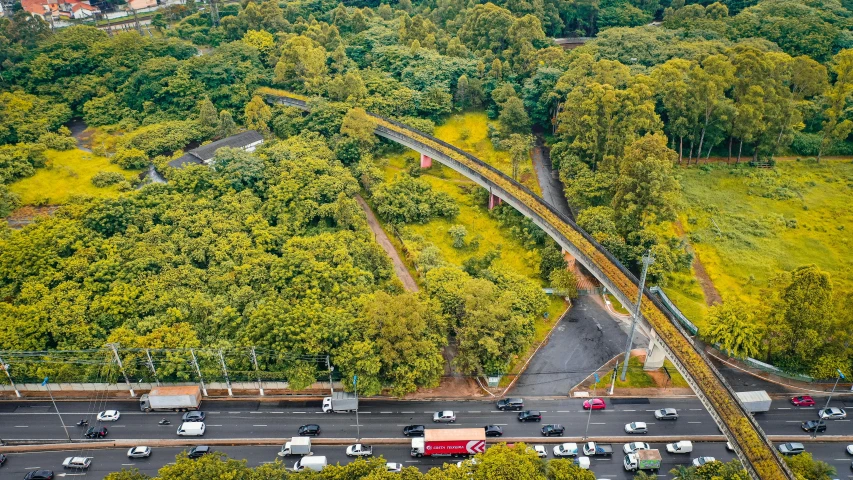 a highway filled with lots of traffic next to a forest, by Luis Miranda, unsplash contest winner, realism, lush brooklyn urban landscaping, overgrown with vegetation, oscar niemeyer, sangyeob park
