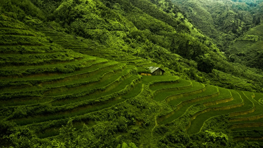 a house sitting on top of a lush green hillside, by Matthias Weischer, pexels contest winner, sumatraism, vietnam, grain”, chinese art, layers of strata