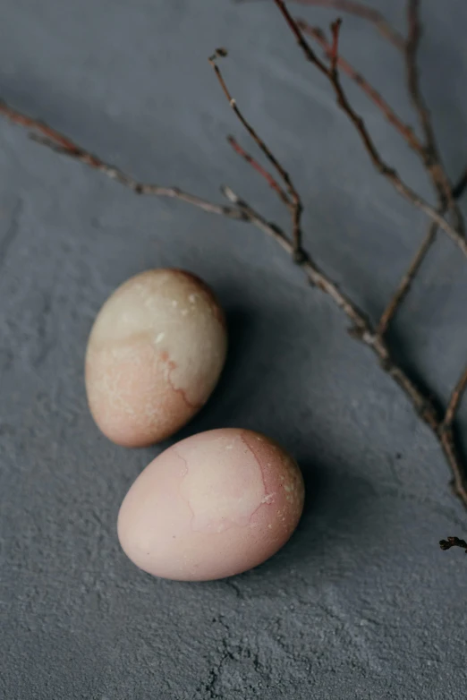 a couple of eggs sitting on top of a table, pastel pink concrete, close up of iwakura lain, “ iron bark, stems