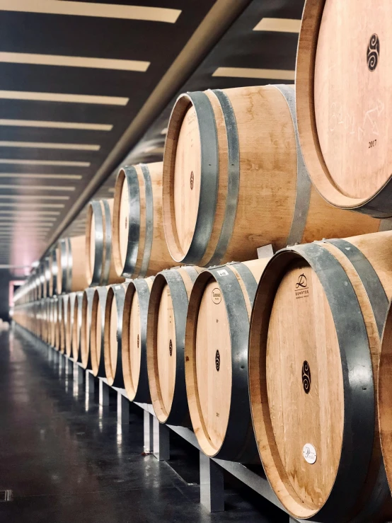 a room filled with lots of wooden barrels, profile image, long vines, instagram story, high quality photo