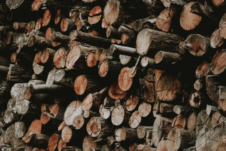 a pile of logs stacked on top of each other, pexels contest winner, renaissance, background image, profile image, opening shot, thumbnail