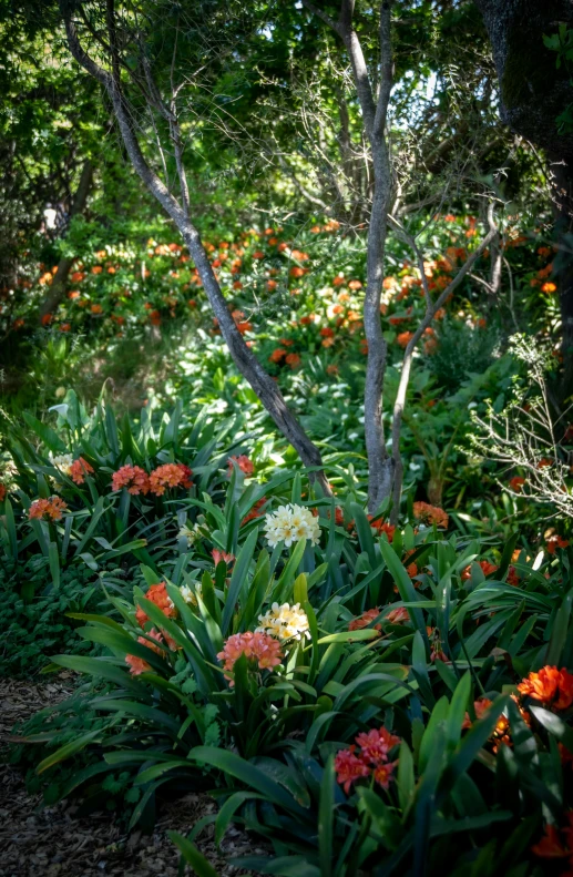 a red fire hydrant sitting next to a lush green forest, by Leo Michelson, renaissance, orange blooming flowers garden, flowering pineapples and orchids, orange, stunningly