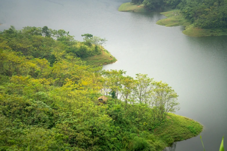 a large body of water surrounded by trees, by Daniel Lieske, sumatraism, trees in the grassy hills, bangladesh, conde nast traveler photo, fan favorite