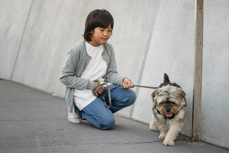 a person kneeling down with a dog on a leash, by Nicolette Macnamara, pexels contest winner, kids, asian male, grey, dressed casually