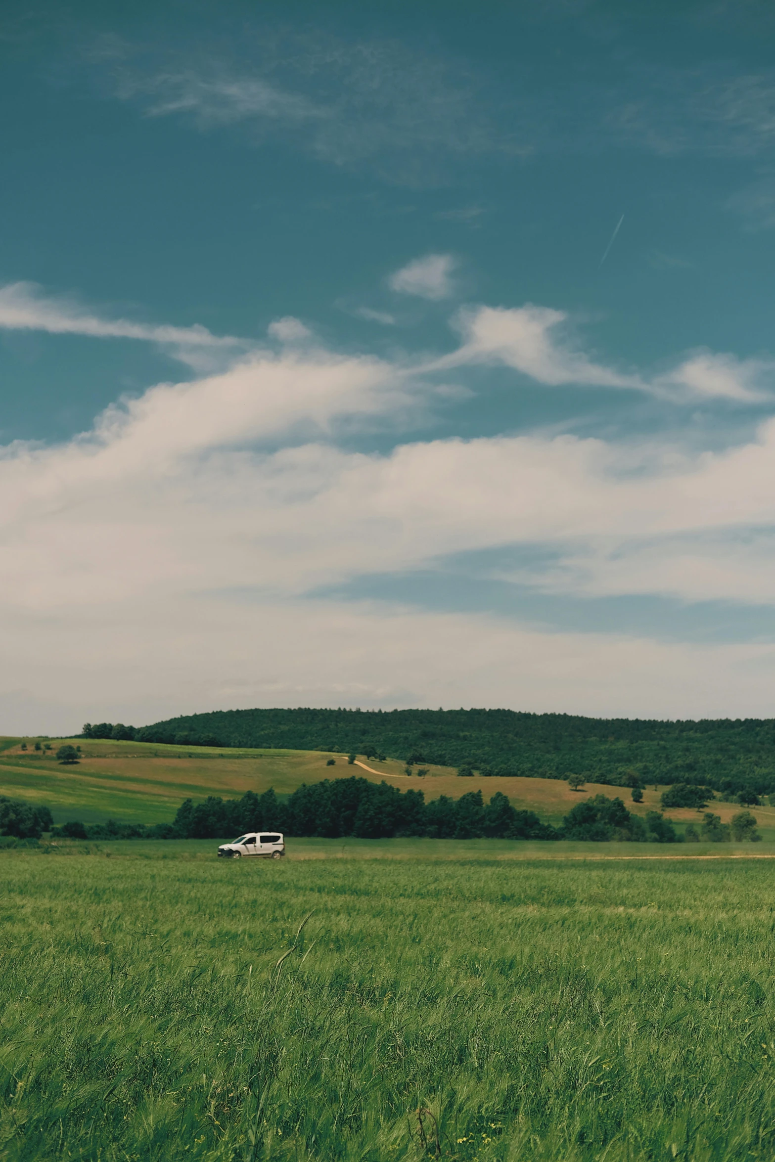 a truck driving through a lush green field, a picture, unsplash contest winner, renaissance, germany. wide shot, 4k panoramic, distant valley, standing in grassy field