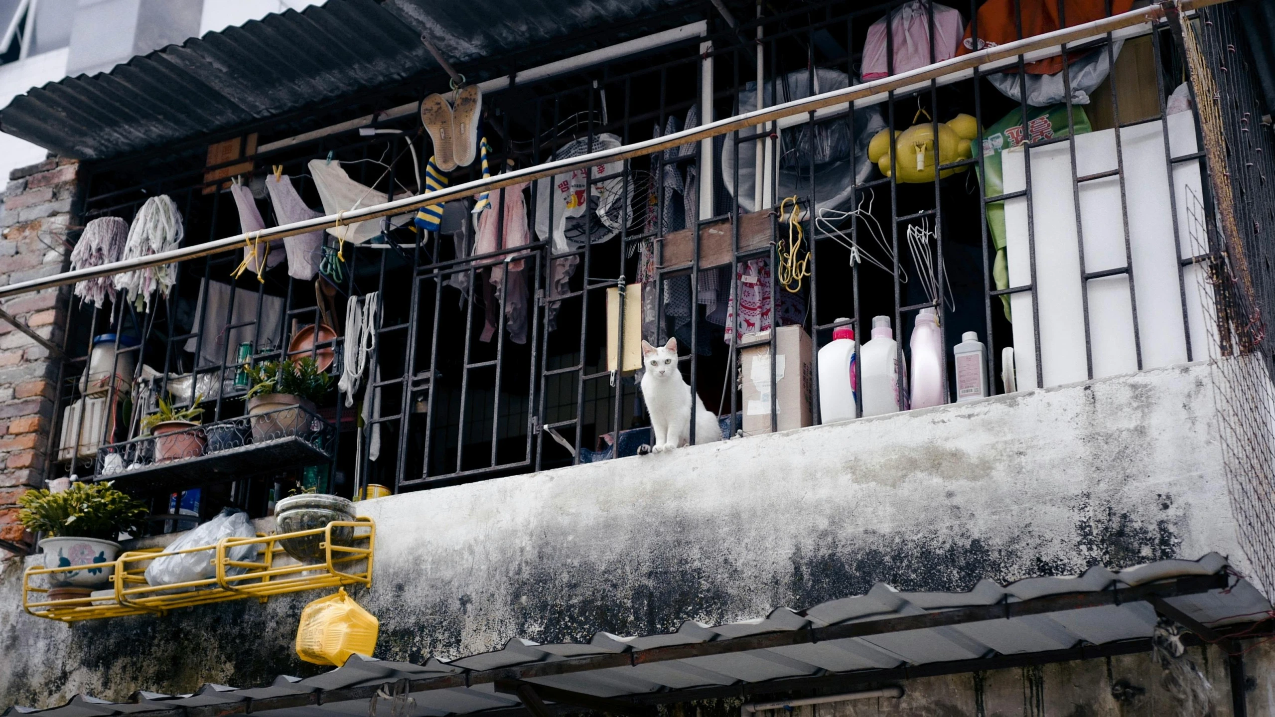 a cat sitting on the balcony of a building, plastic and fabric, manila, top selection on unsplash, things hanging from ceiling