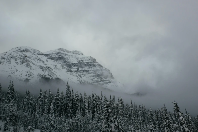 a mountain covered in snow with trees in the foreground, a photo, pexels contest winner, hurufiyya, banff national park, gray fog, trees and cliffs, taken in the late 2010s