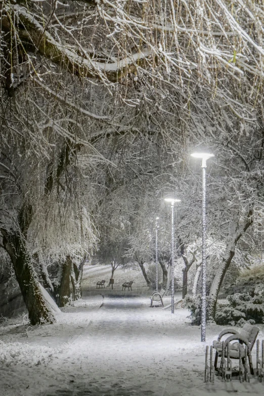 a park filled with lots of snow covered trees, by Eero Snellman, streetlamps, nadir lighting, snowy apennines, brown