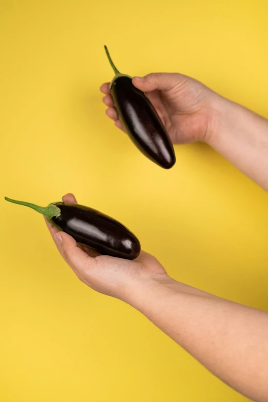 a person holding two eggplants in their hands, an album cover, by Julia Pishtar, trending on pexels, clemens ascher, extra close-up, vibrating, ratatouille style