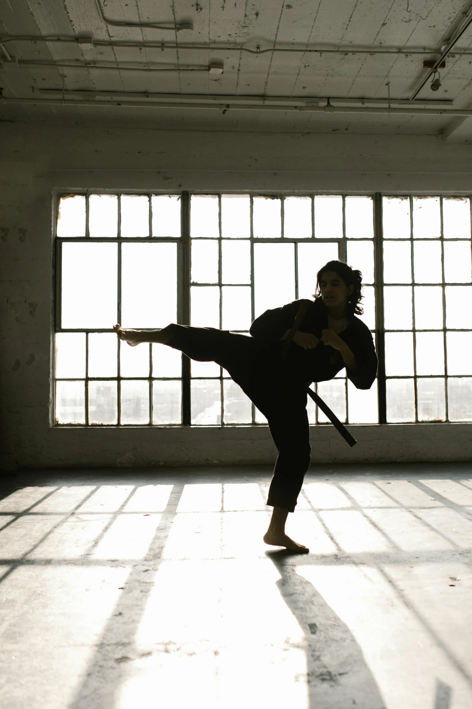 a person doing a kick in an empty room, powerful stance, black, overlooking, david shing