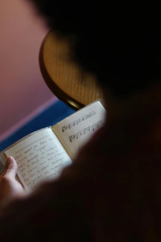 a person sitting at a table reading a book, an album cover, by David Simpson, pexels, happening, soft light, illuminated manuscript, notebook, back - lit