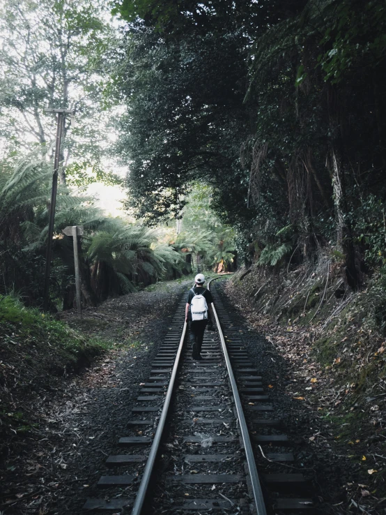 a person is walking down a train track, inspired by Steve McCurry, sumatraism, vsco, stood in a spooky forest, lachlan bailey, long distance photo